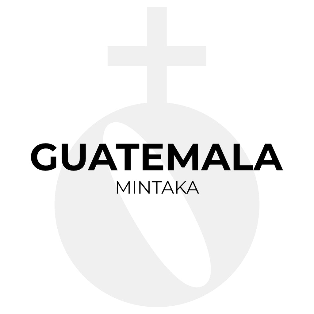 Guatemala 10 drip pack